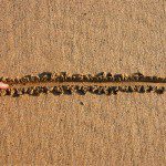 adult adhd and setting boundaries