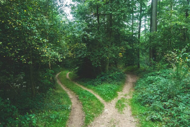 adhd decision making